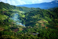 การปลูกป่า 3 อย่าง ประโยชน์ 4 อย่าง เพื่อพัฒนาเศรษฐกิจชุมชน